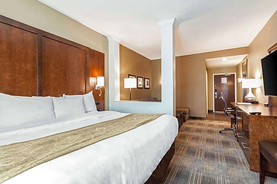 Comfort Suites University