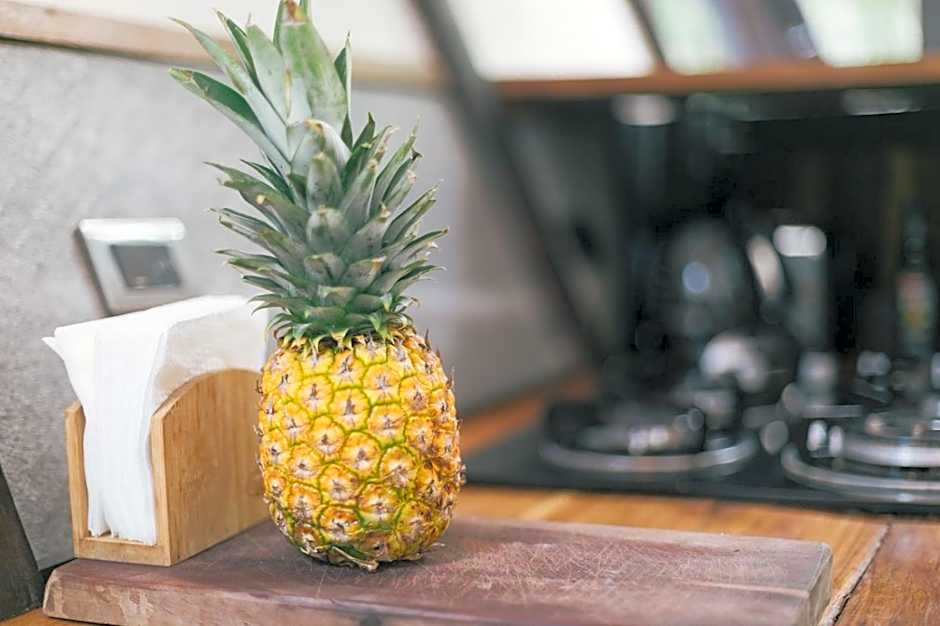 Nahouse Jungle Lodges