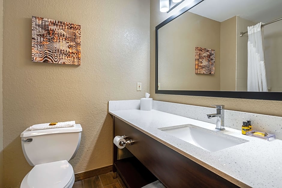 Photo 1 of 8 of 1 King Bed, Mobility Accessible, Roll in Shower
