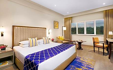Deluxe Room City View King Bed