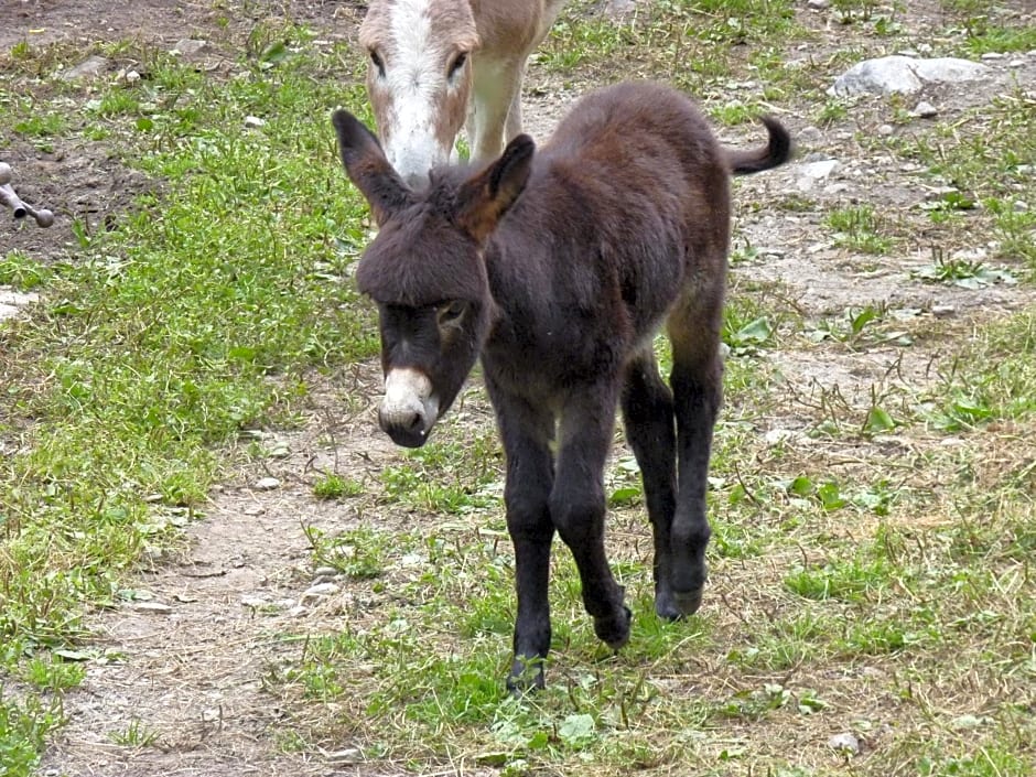RistoBar B&B al Pont