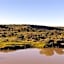 Weltevreden Game Lodge