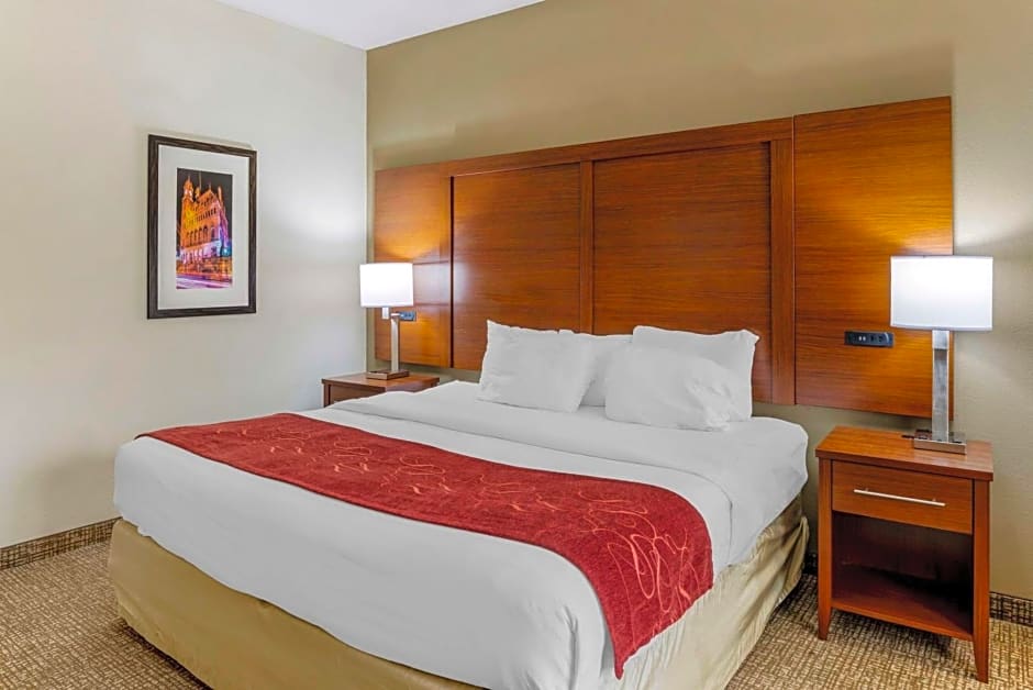 Comfort Suites At Virginia Center Commons
