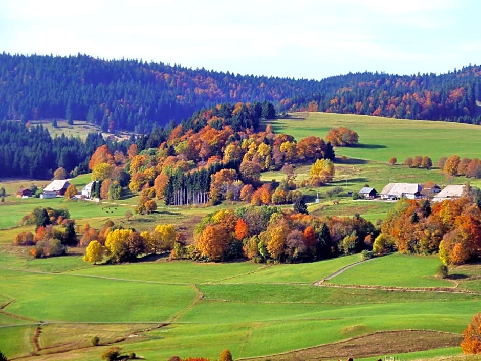 Ferienhotel Schwarzwälder Hof