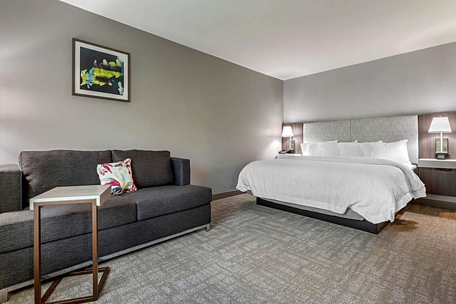 Photo 1 of 4 of 1 King Bed with Sofabed