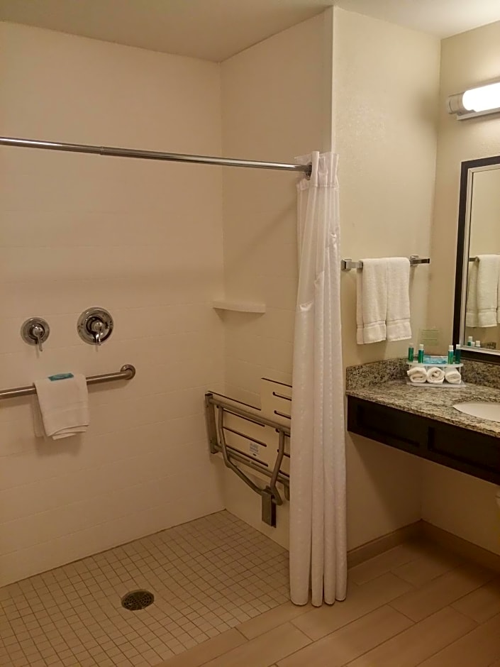 Holiday Inn Express and Suites Golden Denver Area