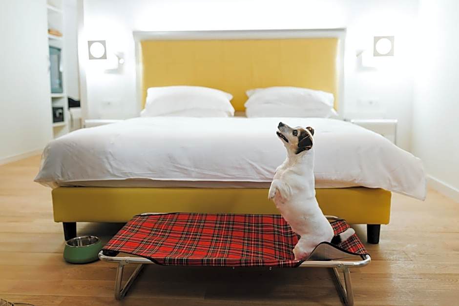 HOTEL CITTA' DI PARENZO