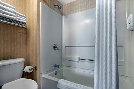 1 King Bed Suite Nonsmoking