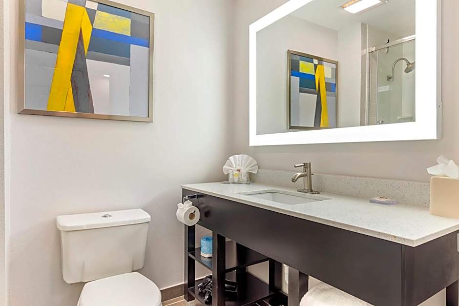 Comfort Inn & Suites Irving Las Colinas DFW