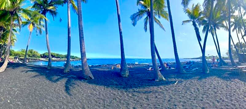 Charming 1 Bedroom Beach Condo Prime Location Great Value