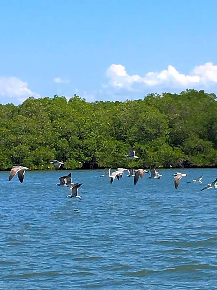 Villa Maria Bed and Breakfast