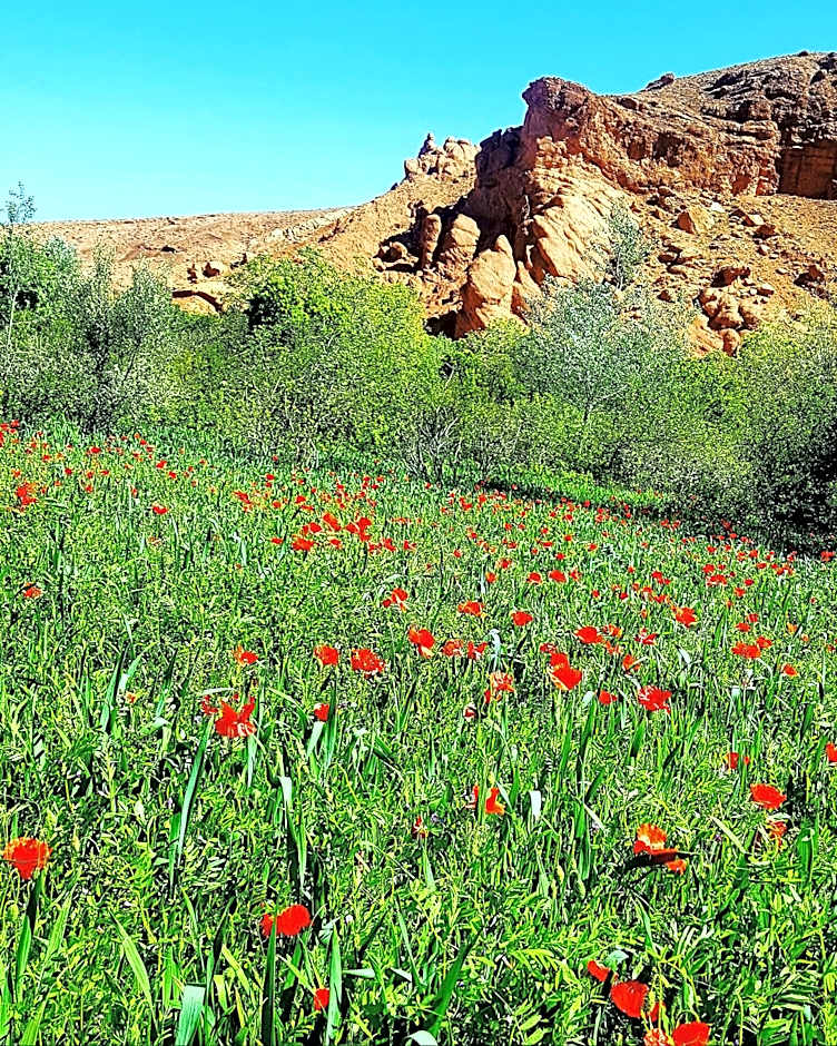 Auberge Kasbah Ait Marghad