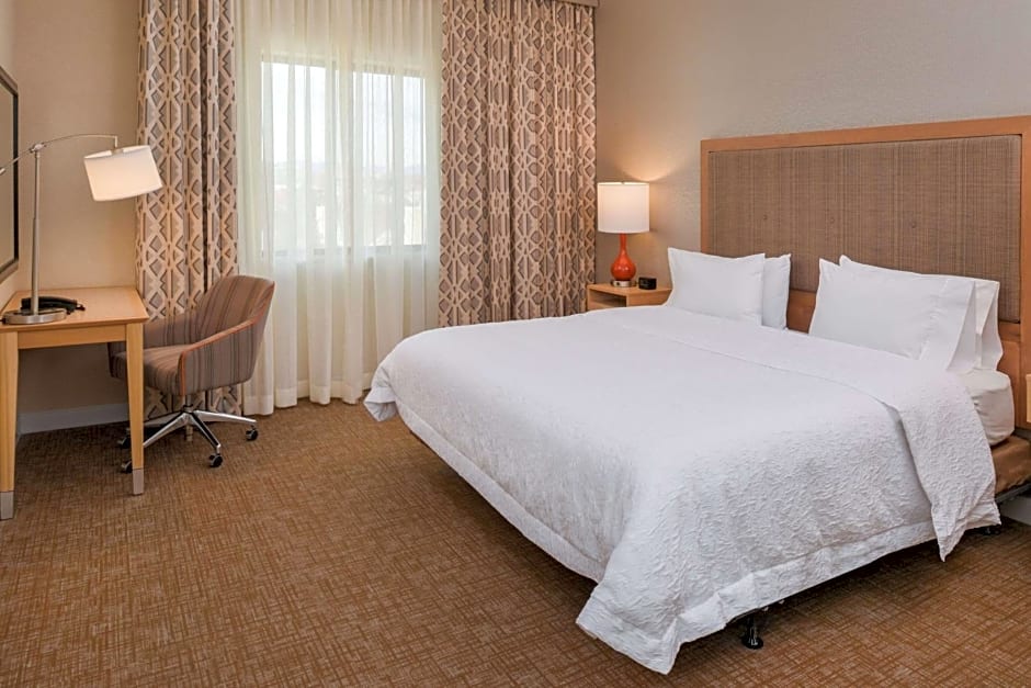 Hampton Inn By Hilton & Suites Denver-Speer Boulevard