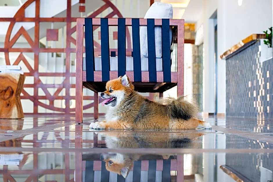 Aliv stone suites & spa