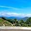 Cameron Highlands Blueberry Earth House