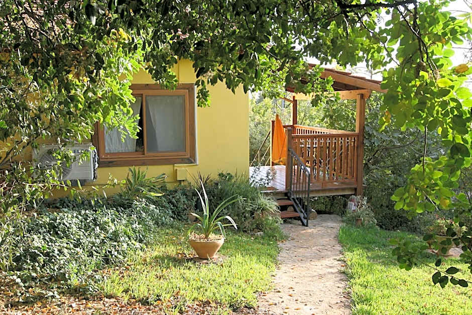 Zimmers at the Forest