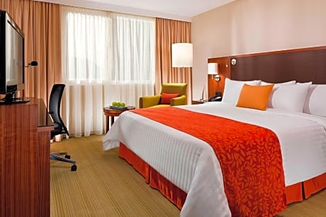 Superior Room, 1 King Bed, Non Smoking, Terrace