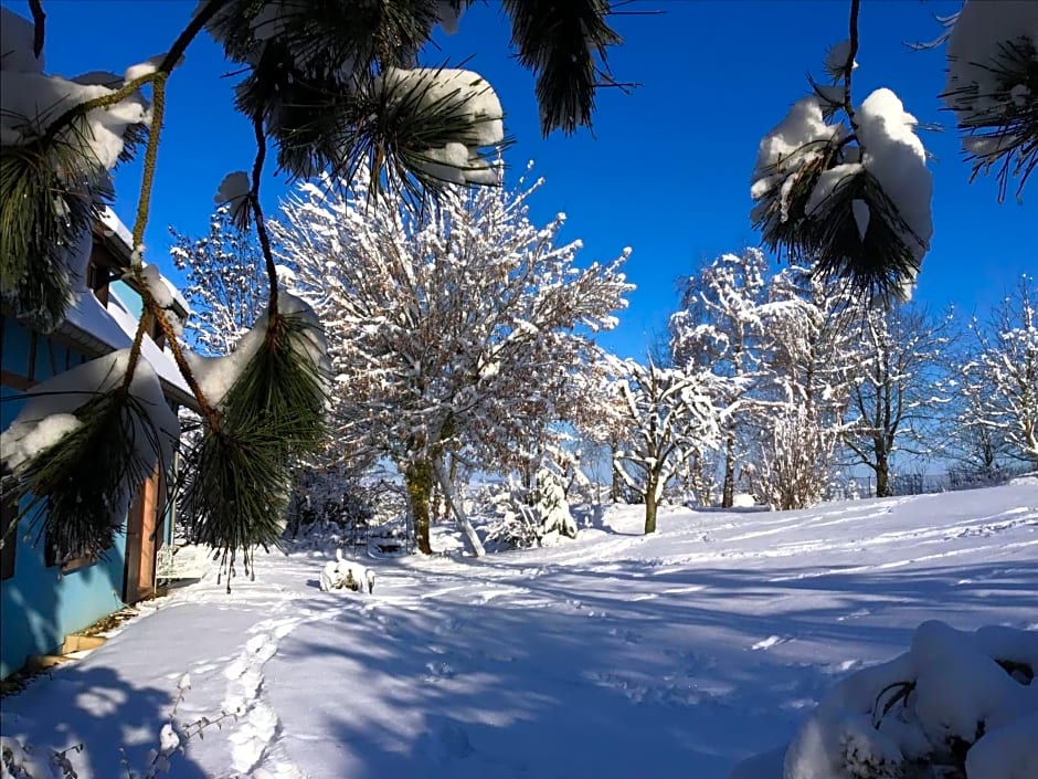 L'atelier du gîte bleu