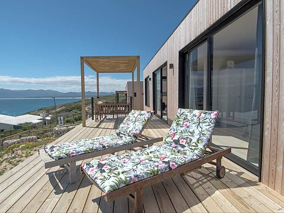 Whale and Gin Spotter