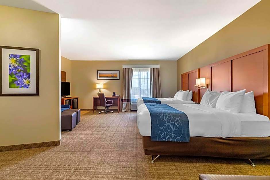 Comfort Suites Buda - Austin South