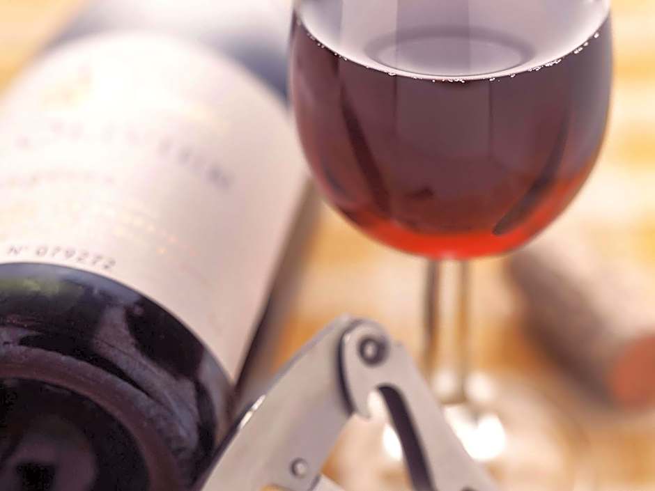 ibis Chalon Sur Saone Nord