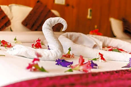 Deluxe Double or Twin Room with Garden View