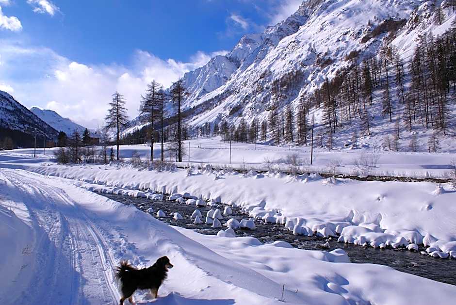 Albergo Boule de Neige