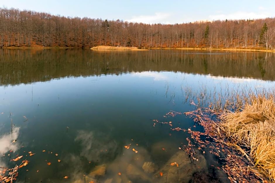 Viandanti, Artisti e Sognatori