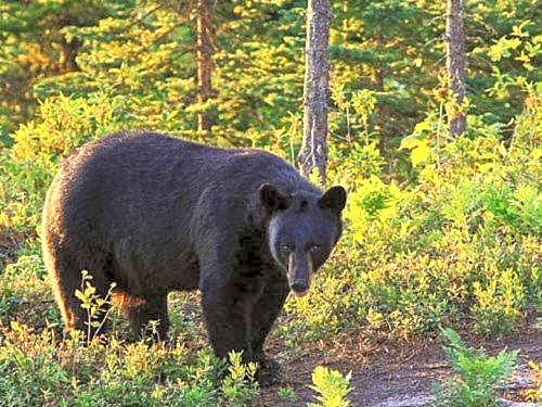 Motel de l'Anse a l'Eau