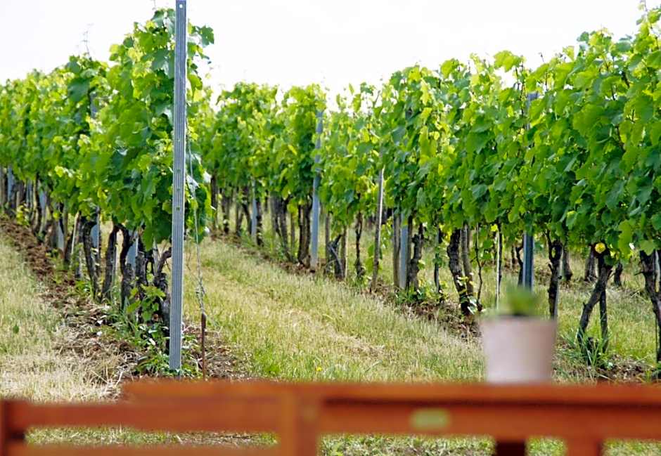 Walters Weinquartier