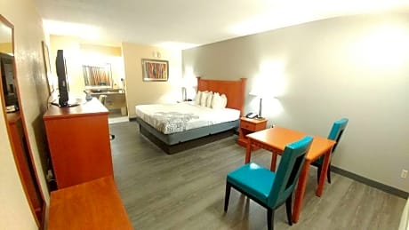 King Room - Pet Friendly/Smoking