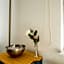 T11-Appartements & Boardinghouse