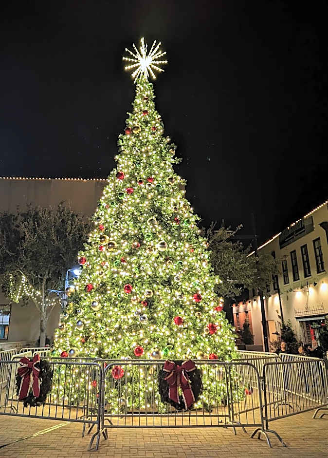 The 1890 Freeman House