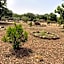 Agriturismo Abbalughente