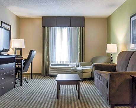 1 KING BED SUITE NONSMOKING
