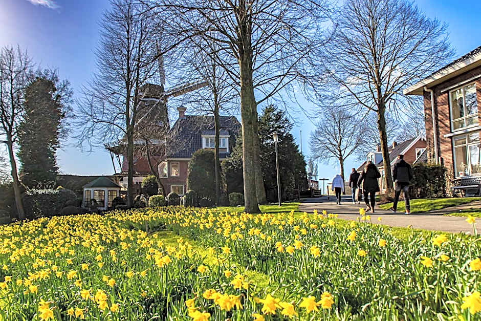 Logementen Dokkum