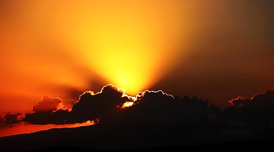 Villa Quinta da Violeta