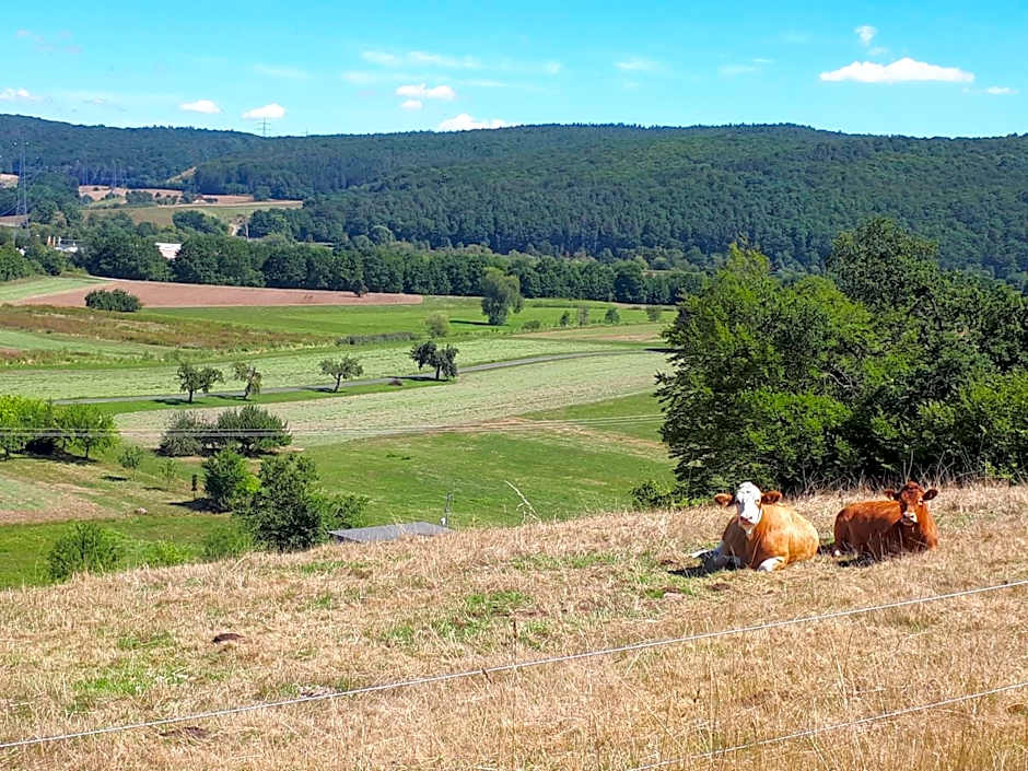Hotel - Gasthof Spessarttor & Hotel Bergwiesen - Zimmer mit Balkon