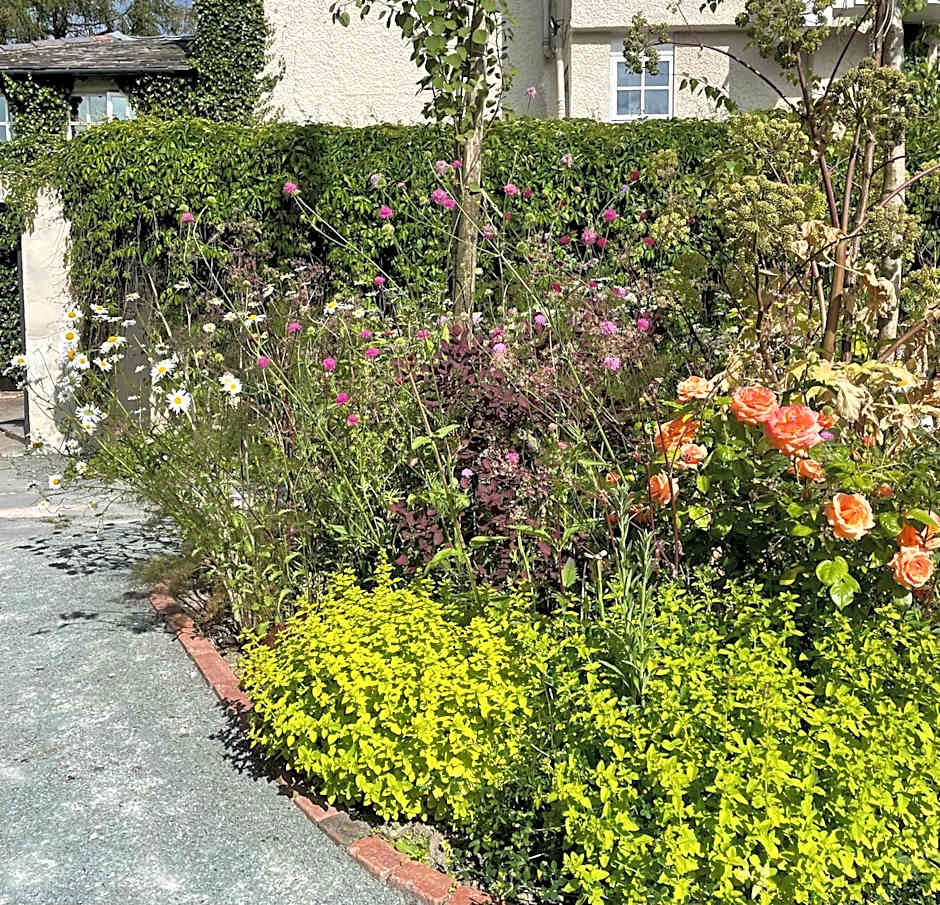 The Drunken Duck Inn