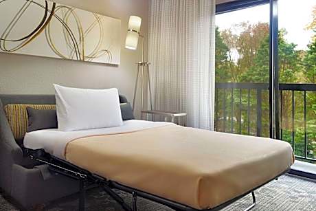 Room, 1 King Bed with Sofa bed (1 King Bed and 1 Double Sofa Bed)