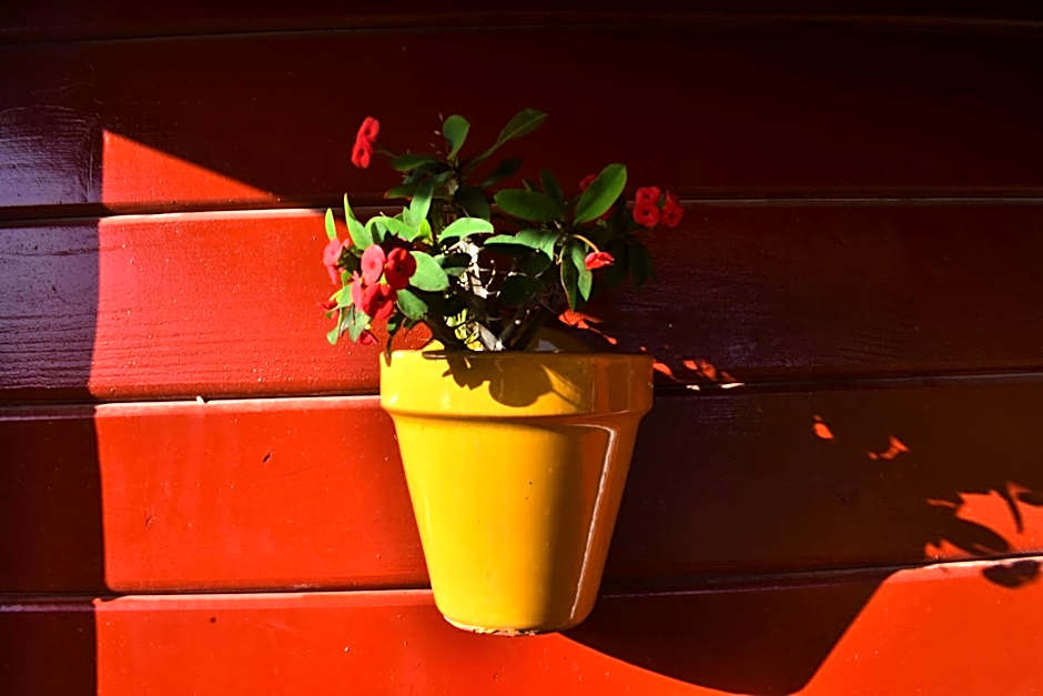 Kontiki Bungalows El Palmar