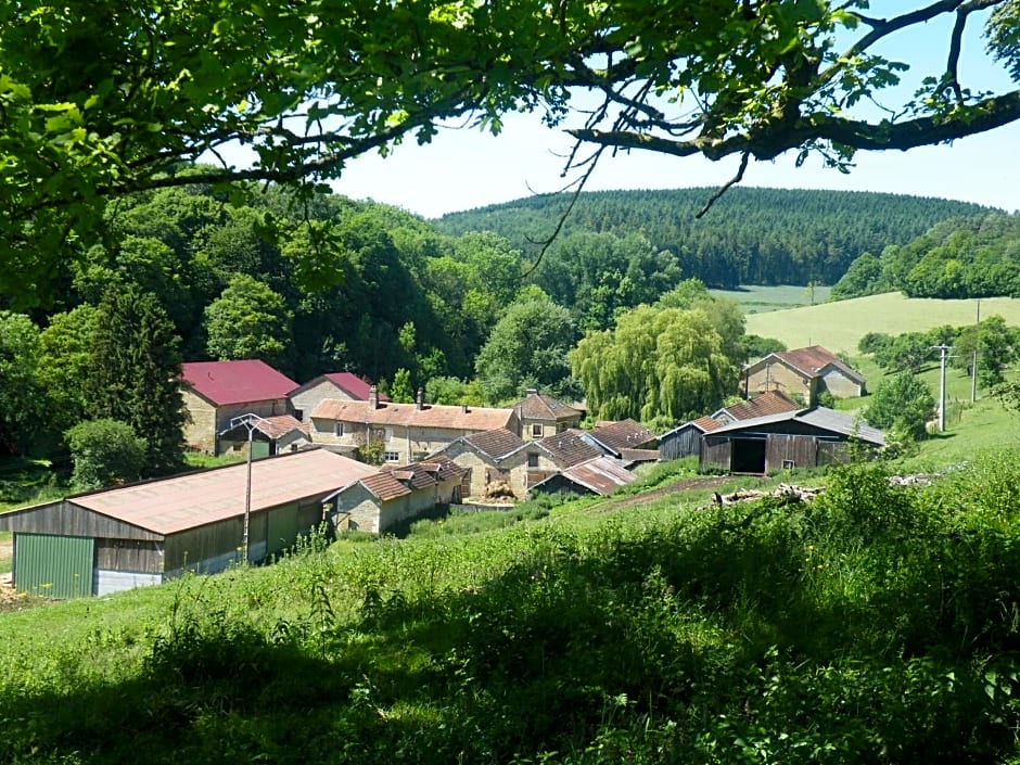 kotas-Esprit Nordique