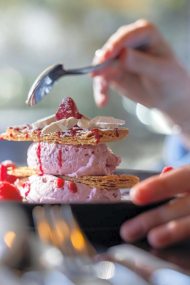 Hotel Spa Restaurant Villa Castellane