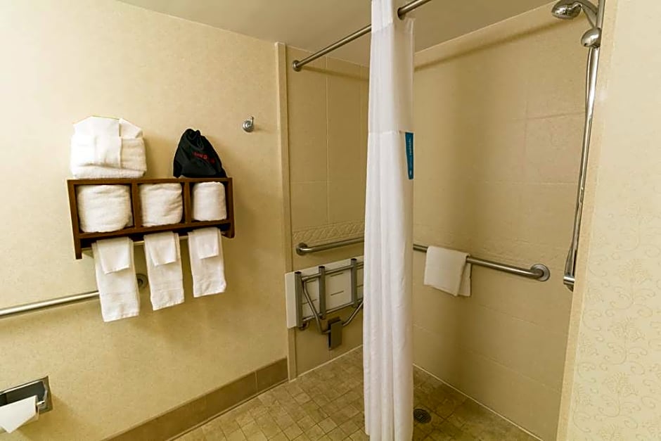 Hampton Inn Savannah-Historic District