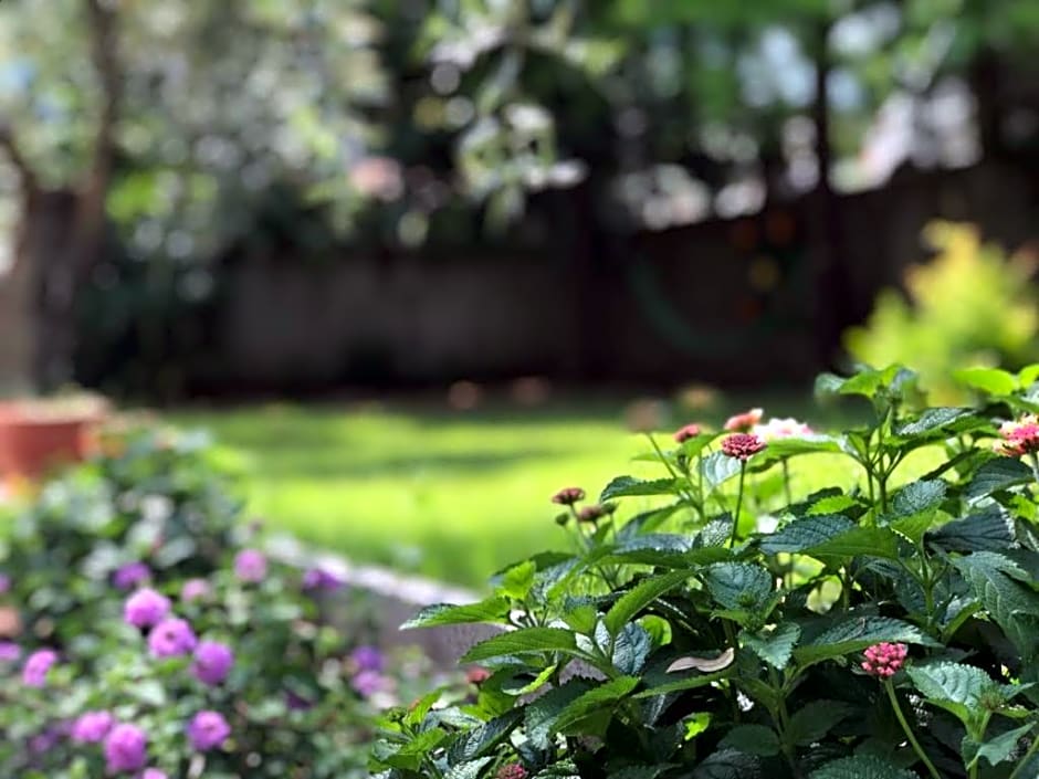 Studios Estrella del mar