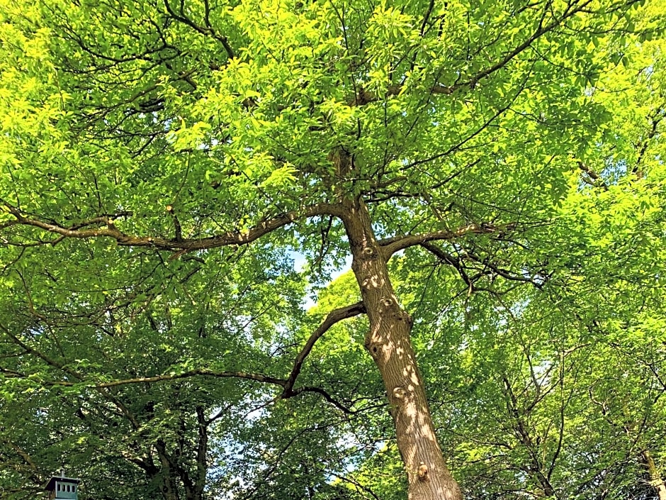 Landgoed Zonheuvel