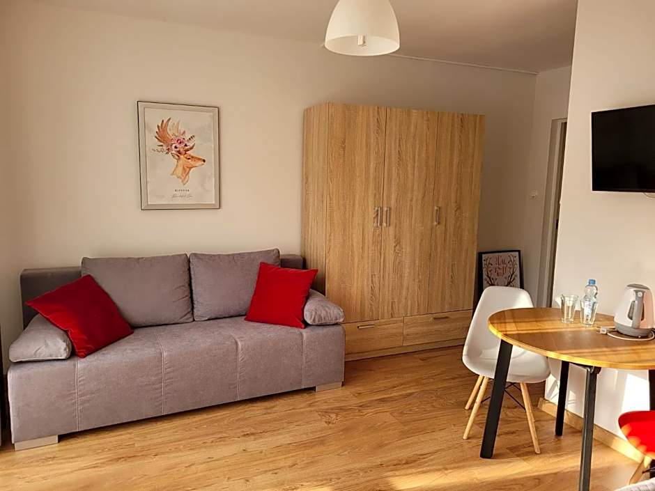 Willa Wiesia Rabka Zdrój