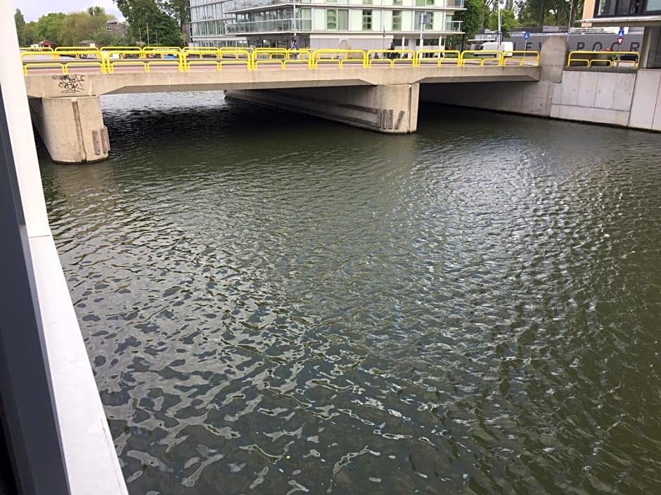 Reiwa – Amsterdam, NY