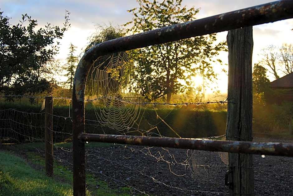 Hare & Hounds Bed & Breakfast