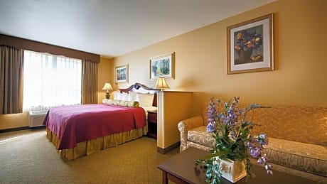 Suite-1 King Bed  Non-Smoking, Sofabed, Business Suite, Microwave And Refrigerator, Full Breakfast